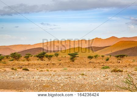 Typical Landscape Of Southern Morocco.
