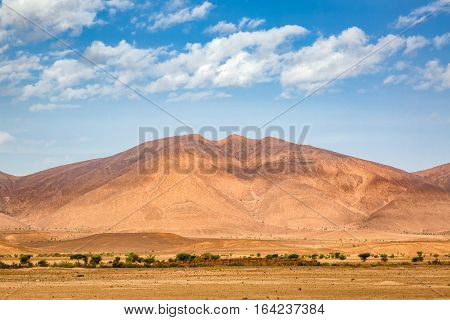 Typical Landscape Of Southern Morocco.