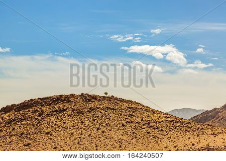 Typical Landscape Of Southern Morocco.
