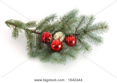 Indrettede jul gren