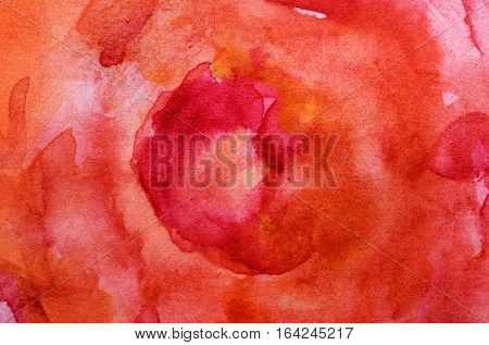 Watercolor painting. Abstract illustration of a rose close up.