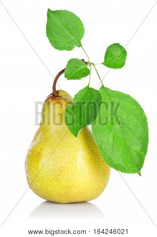 Yellow pear with green leafs isolated on white background