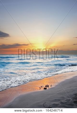 orange sunset on tuscany beach Italy Rosignano