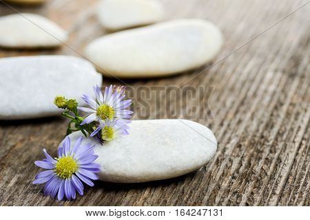 Stones stacked with purple flower on the table
