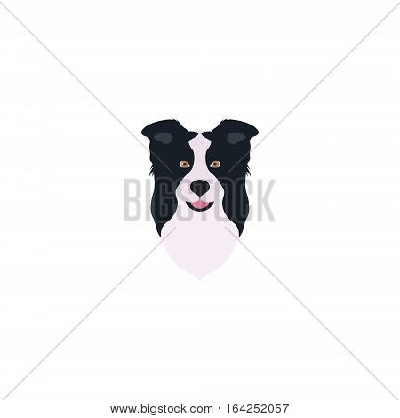 Abstract vector illustration of border collie head.