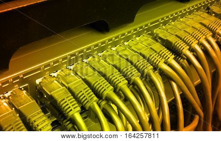 Server rack with golden internet patch cord cables connected to black patch panel in server room horizontal gradient