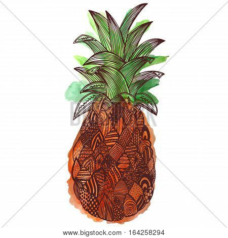 Pine