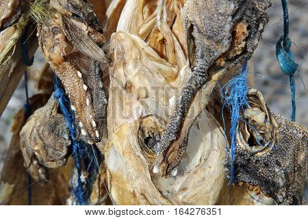 Classic Food in Scandinavia - Stockfish in Iceland