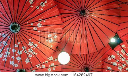 Umbrellas with sakura motifs, hanging upside down from ceiling acting as light shades and decor.