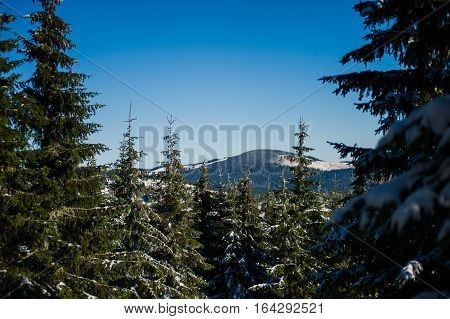 Winter in the national park with mountains