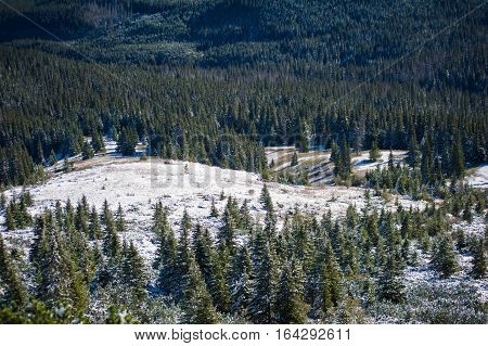Winter in the national park with mountains