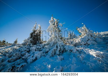 Winter in the national park with mountains