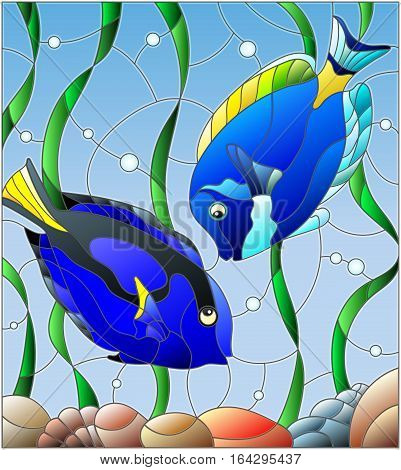 Illustration in stained glass style with a pair of fish surgeon on the background of water and algae
