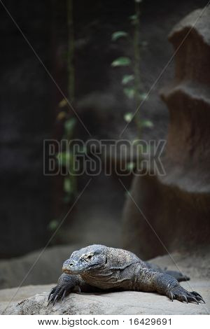 varan