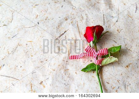 Red rose place on paper with Image of Valentines day