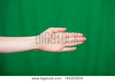 Hand Female Fingers A Green Background