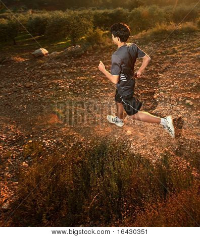 转轮移动通过阳光照射的景观。（contrejour 照明）