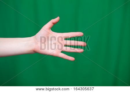 Hand Female Fingers