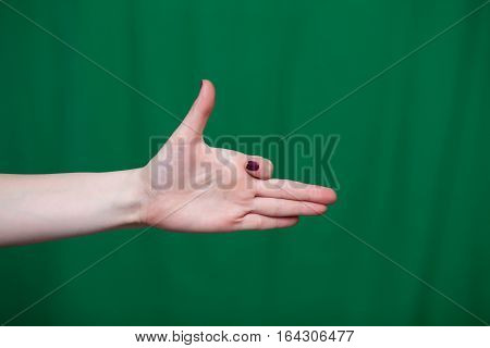 Hand Female Fingers