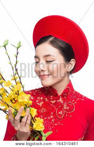 Lunar New Year. Portrait of a beautiful Asian woman on traditional festival costume Ao Dai holding Hoa Mai tree (Ochna Integerrima) flower. Tet holiday.