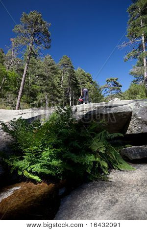 Im Landesinneren Korsika, Frankreich (Wald von Aitone)