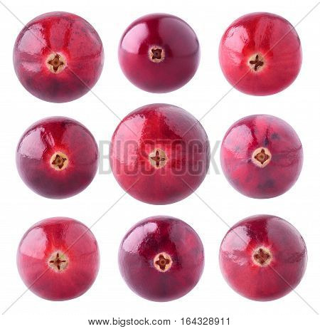 Isolated Cranberries Collection