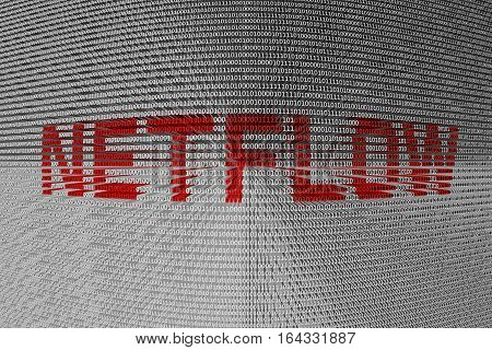 NETFLOW as a binary code 3D illustration