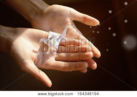 Paper crane in hands in the light. Magic