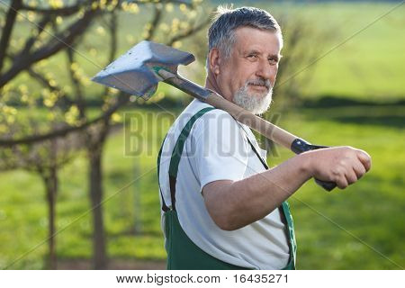 Ritratto di un uomo anziano giardinaggio nel suo giardino/frutteto