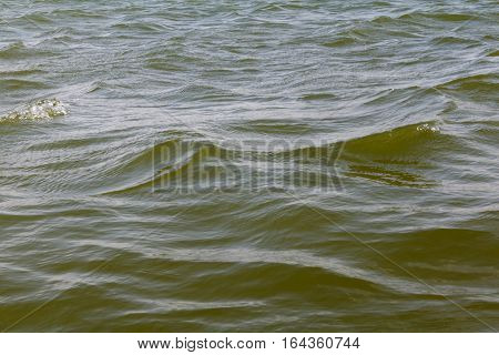 Calm water of kenjhar lake. Fresh water of lake.