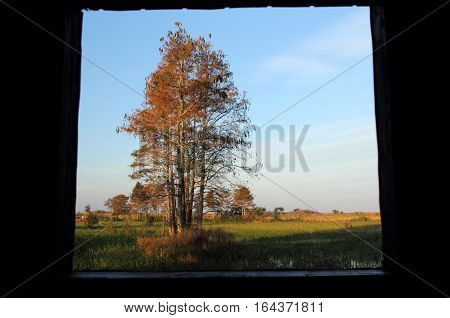 Loxahatchee National Wildlife Refuge in the Florida Everglades