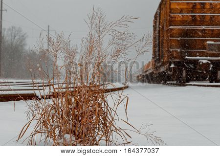 Cargo railroad industry in winter. Railway carriage transport still storage. Train freight. Freight train on the branch railway terminal. Rail transportation in winter.