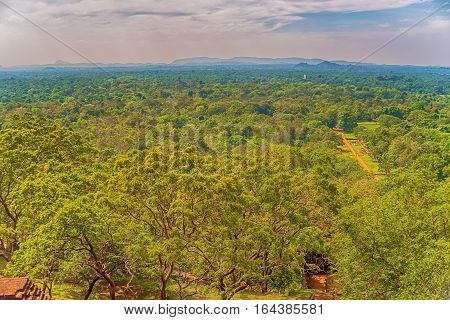Sigiriya or Sinhagiri, Sri Lanka: aerial view of jungle