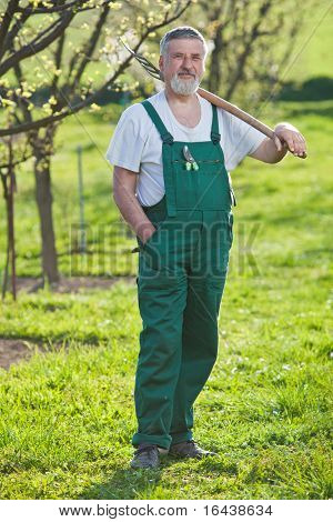 Ritratto di un uomo anziano bello giardinaggio nel suo giardino (immagine a colori dai toni)