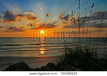 A sunset over the ocean with reeds and rocks