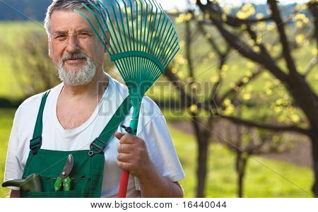 Ritratto di un uomo anziano giardinaggio nel suo giardino (immagine a colori dai toni)