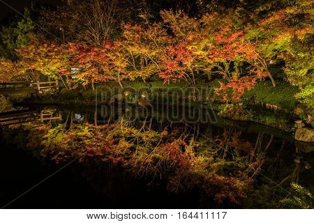 Nabana no sato winter illumination in Mie NagoyaJapan. It is one of Japan's largest illumination parks.