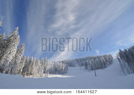 Mountain ski resort RomaniaTransylvania Brasov Poiana Brasov