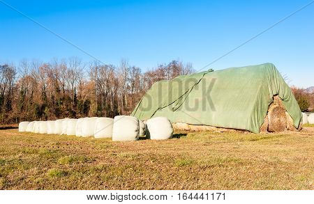 Hay Bales In Row In Provisional Barn