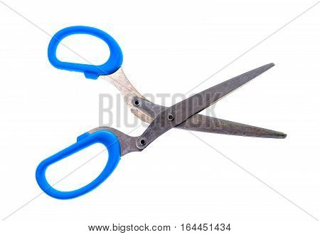 Herb And Spice Scissors With Comb On A White Background.