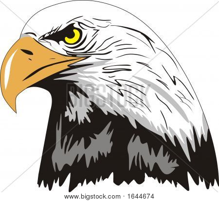 Szef Bald Eagle