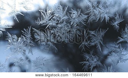 Frosted glass,  frosted window,  ice on the window,  frost,  snowflakes, crystalline