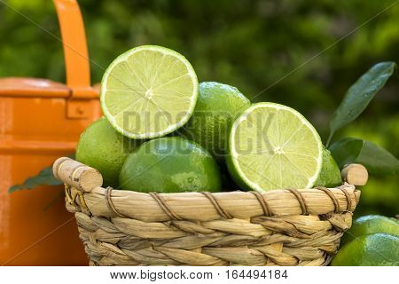 Sweet Fresh Lemon In Natural Light On Old Wood