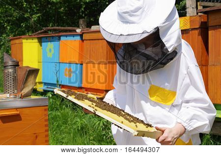 Woman beekeper in white suit with bees