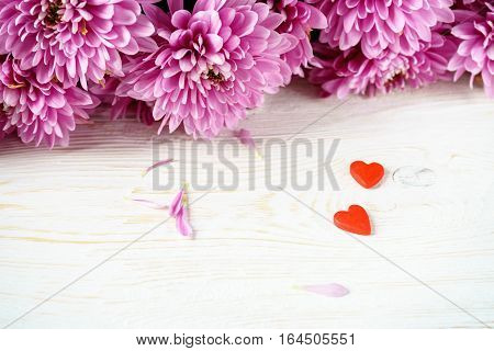St. Valentine's Day. Two red hearts and chrysanthemum. Closeup