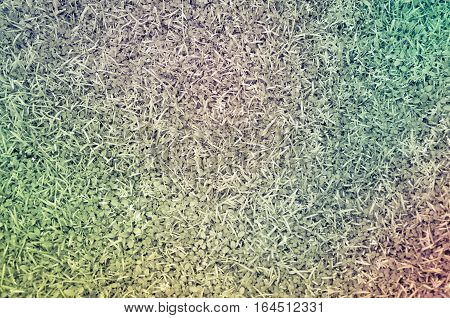 Photo of green grass for the nature background with the split tone process