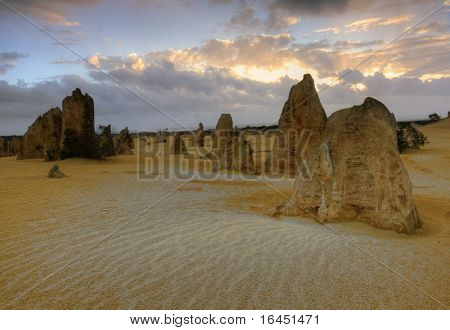 I pinnacoli - parco nazionale di Numbung, Western Australia