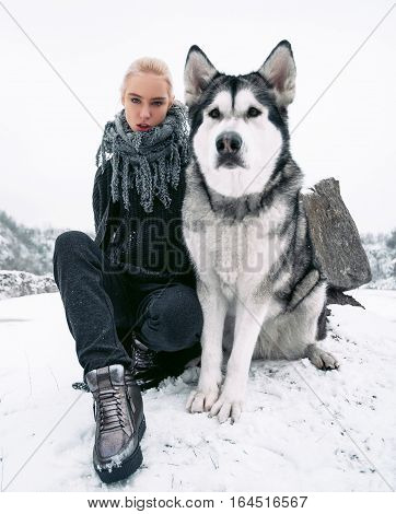 Girl with big malamute dog on background of rocks in winter. They sit on snow. Girl looks very small compared with dog.