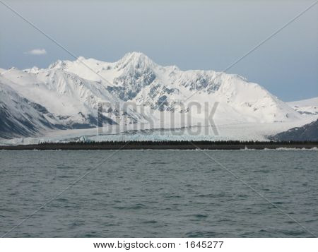 Salida glaciar - península de Kenai, Alaska
