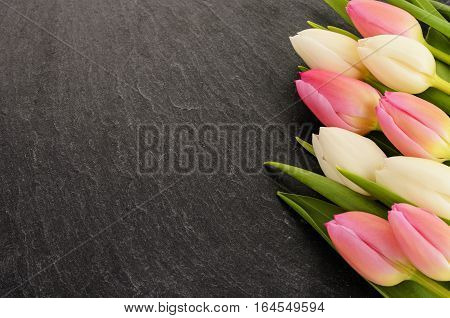 White and bink tulip flowers on slate background